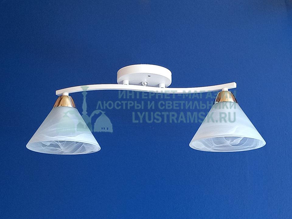 Люстра потолочная LyustraMsk ЛС 861 на 2 плафона, белый