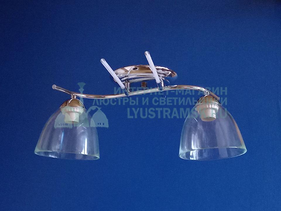 Люстра потолочная LyustraMsk ЛС 869 на 2 плафона, хром